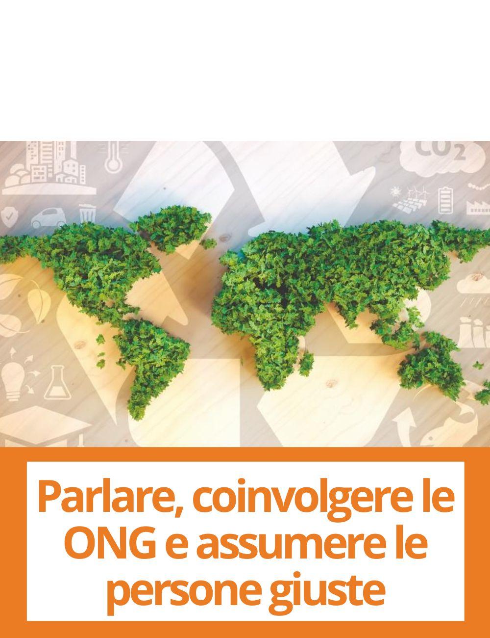 Immagine con link ad articoli su temi simili. L'immagine di una mappa con alberi rimanda all'articolo intitolato: CSR e filiali: parlare, coinvolgere le ONG e assumere le persone giuste 