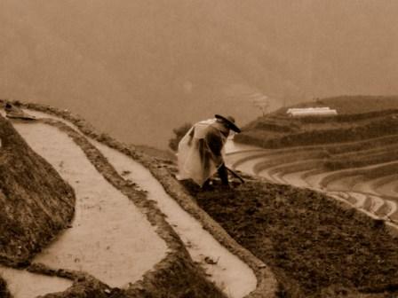 China in the rain