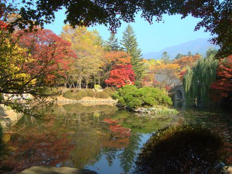 Peaceful lake and park view