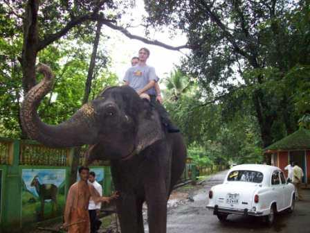 Elephant Ride