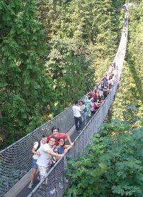 Students on a treetop bridge