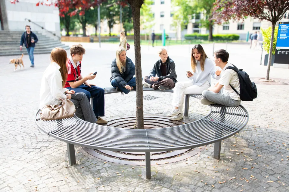 A group of students chatting on the benches in front of the Library.