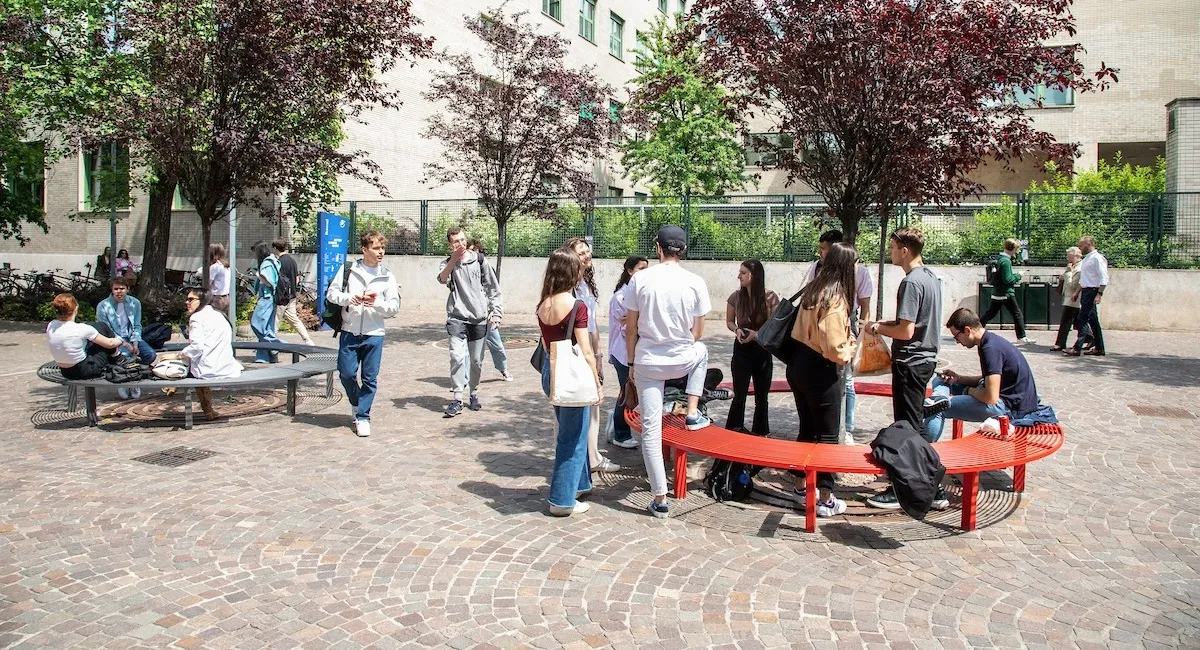 Students on campus in front of red bench